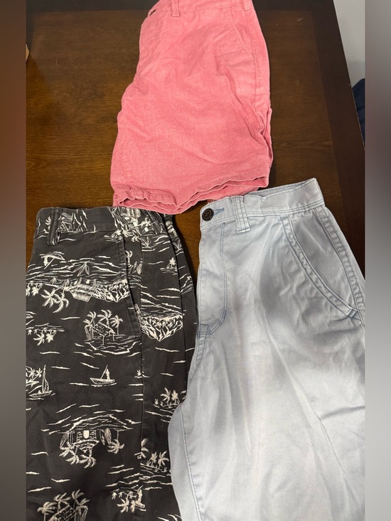 Express Other - Men’s Size 29 Shorts Bundle – Lot of 3 | Great Condition